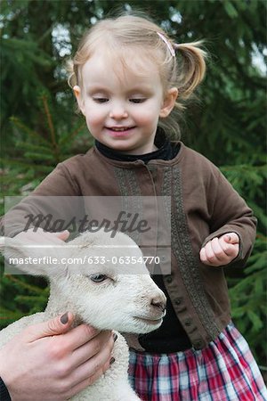 Little girl petting lamb