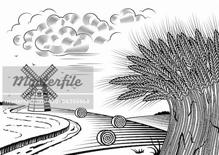 Retro wheat fields landscape in woodcut style. Black and white vector illustration with clipping mask.