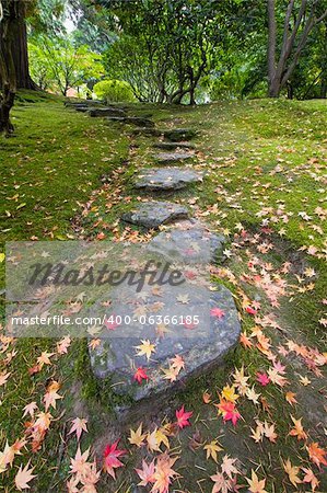 Fallen Japanese Maple Tree Leaves on Stone Steps and Moss in Autumn