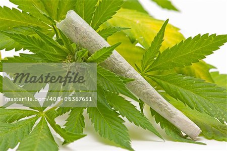 marijuana cigarette and green Leaf Isolated on white background