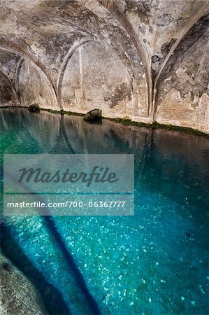 Fontebranda Water Fountain, Siena, Tuscany, Italy