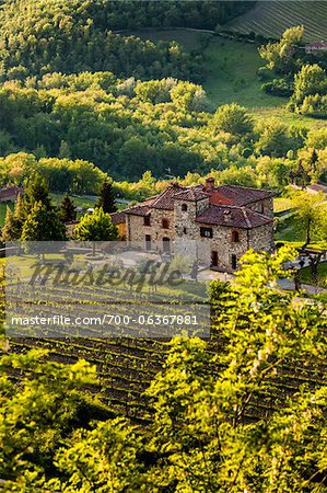 Ferme, Radda in Chianti, Toscane, Italie