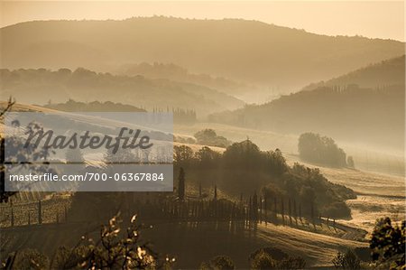Fog at Dawn, Chianti, Tuscany, Italy