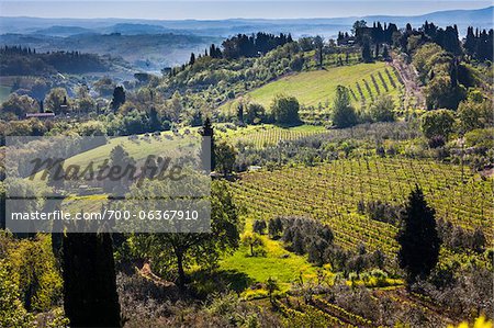 Vue d'ensemble des environs de San Gimignano, Province de Sienne, Toscane, Italie