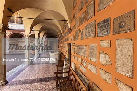 Musée archéologique civique, Bologne, Émilie-Romagne, Italie