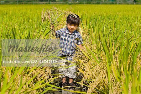 Children walking in a rice field