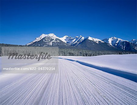 Snow covered road