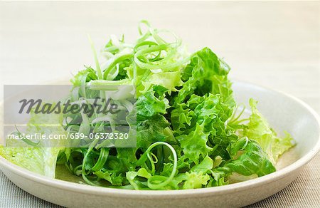 Salade verte avec Vinaigrette