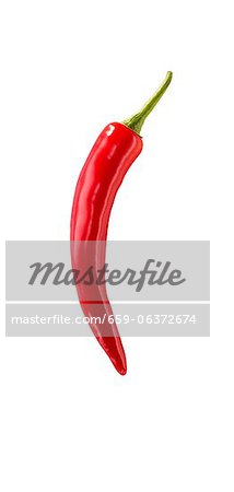 Eine rote Chili