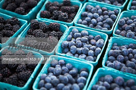 Baskets of Freshly Picked Blueberries and Blackberries at a Farmers Market Baskets of Freshly Picked Blueberries and Blackberries at a Farmers Market