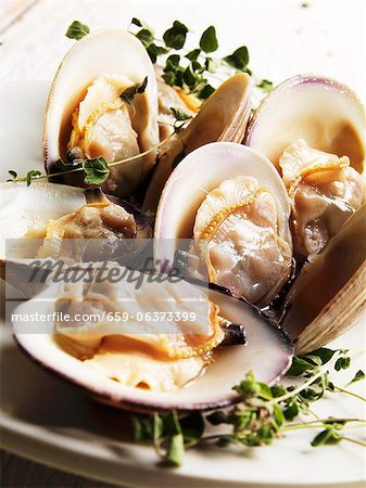 Steamed Middle Neck Clams with Sprigs of Fresh Oregano