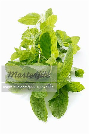 Fresh peppermint Fresh peppermint