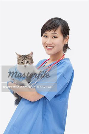 Portrait of Asian female veterinarian holding cat over gray background