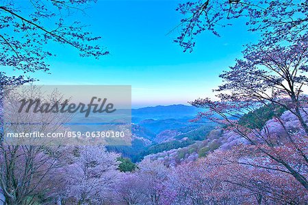 Mont Yoshino, Nara Prefecture, Japon