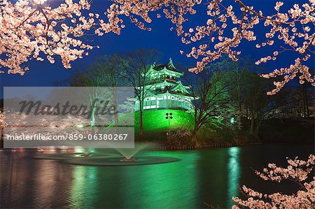 Yozakura, château de Takada, préfecture de Niigata, Japon