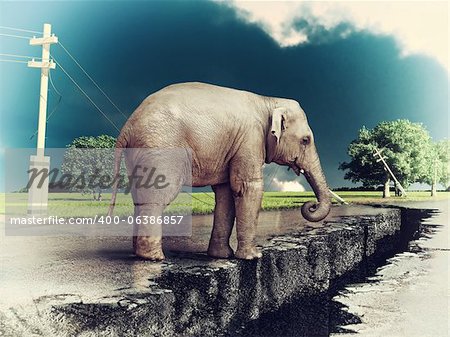 Elephant sur le concept de route fissurée (photo et dessin à main éléments combinés).