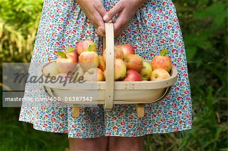 woman wearing a dress with a trug of fresh apples