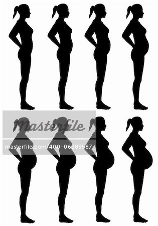 Eine Seite anzeigen, Abbildung 8 weibliche Silhouette in verschiedenen Stadien der Schwangerschaft. Einen einfarbigen weißen Hintergrund isoliert.