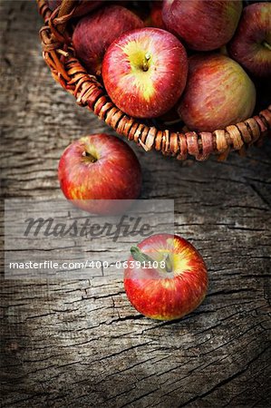 Fresh harvest of apples. Nature theme with red grapes and basket on wooden background. Nature fruit concept.