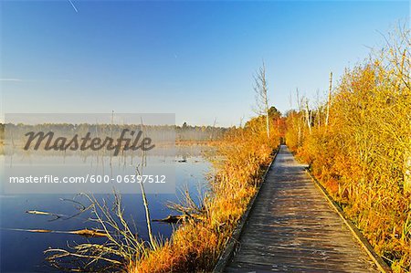 Schwenninger Moos, Villingen-Schwenningen, Schwarzwald-Baar, Black Forest, Baden-Wurttemberg, Germany