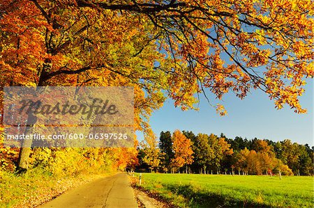 Schwarzwald-Baar-Kreis, Baden-Württemberg, Deutschland