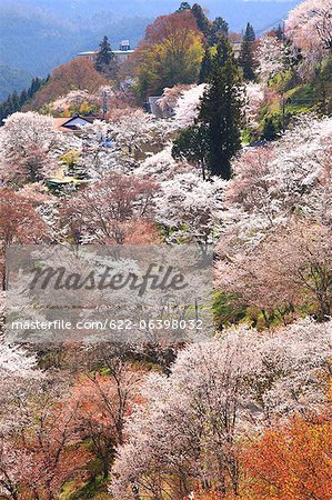 Yoshino, préfecture de Nara