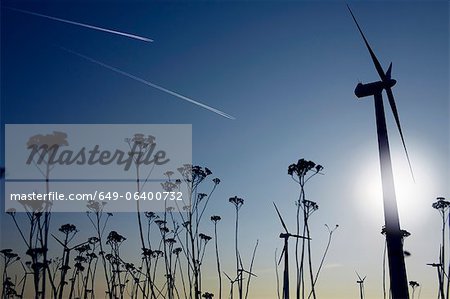 Silhouettes of plants and wind turbines