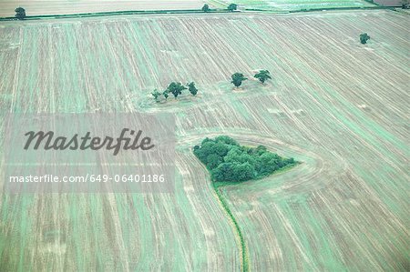 Aerial view of tilled field with trees