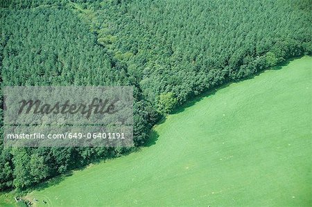 Aerial view of forest and rural field