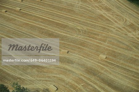 Aerial view of tractor in crop field