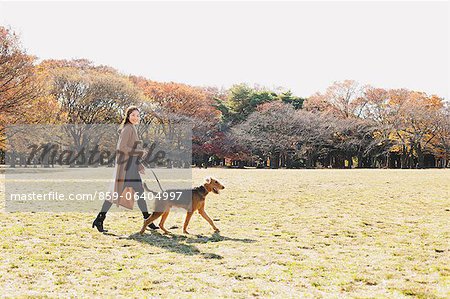 Japanische Frau mit langen Haaren, Spaziergang mit ihrem Hund in einem park