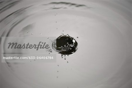 Drop splashing on surface of water