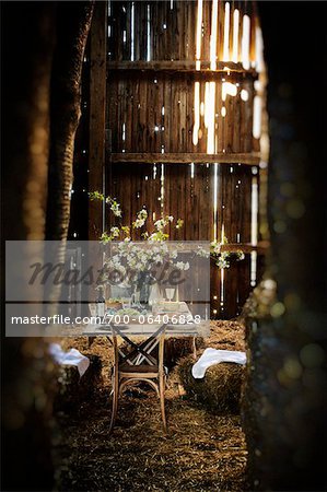 Dining Table Set in Barn