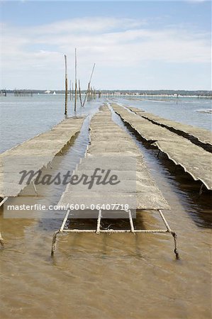 Bancs d'huîtres à faible liée, Cap Ferret, Gironde, Aquitaine, France