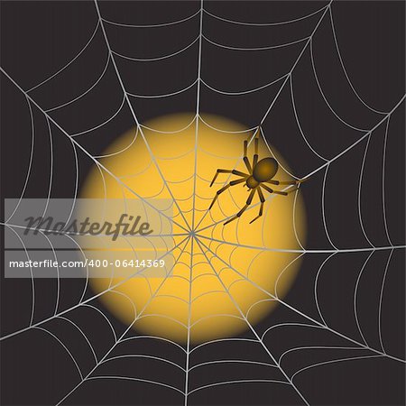 A Spider Web with Spider on moonlight background. Vector Illustration