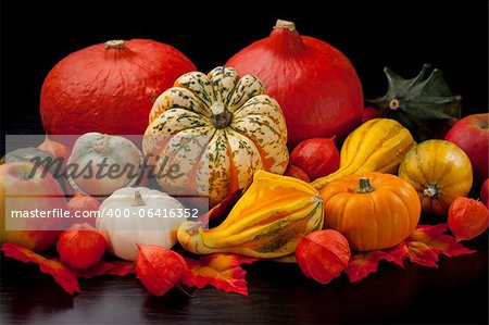 Still life for Thanksgiving with pumpkins on black background