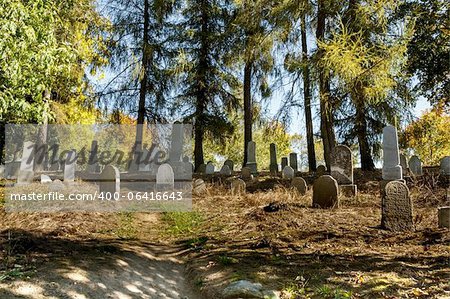 forgotten and unkempt Jewish cemetery