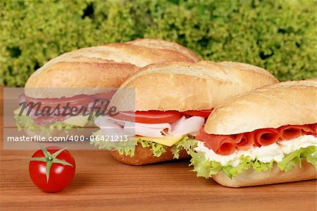 Sandwiches with ham, salami and smoked salmon