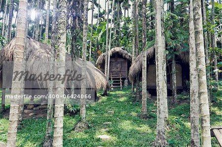 tribal houses in jungle photo