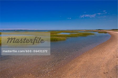 Shoreline at Provincetown, Cape Cod, Massachusetts, USA