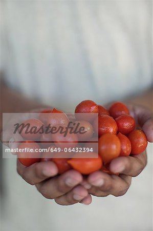 Close up of hands holding tomatoes