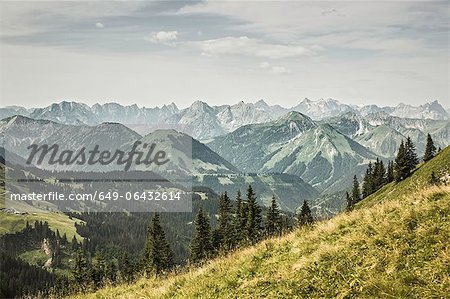 Montagnes enneigées et colline herbeuse Montagnes enneigées et colline herbeuse