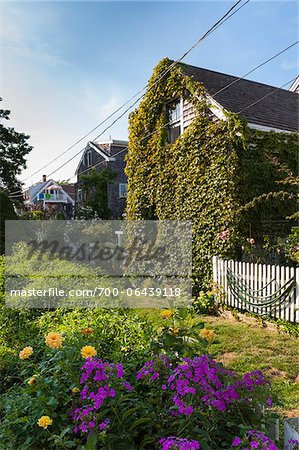 Houses, Provincetown, Cape Cod, Massachusetts, USA