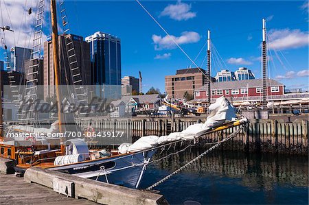 Sailboat in Harbor with View of City, Halifax, Nova Scotia, Canada