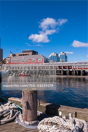 Post and Ropes on Dock at Harbor with Buildings in Background, Halifax, Nova Scotia, Canada