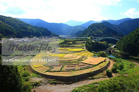 Ackerland in Aridagawa, Präfektur Wakayama