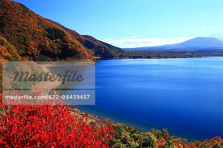 Feuilles d'automne au lac Motosu, préfecture de Yamanashi