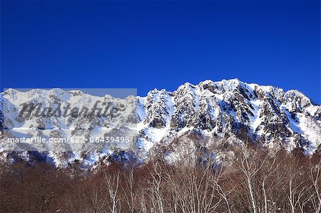 Togakushi plateau couvert de neige, préfecture de Nagano