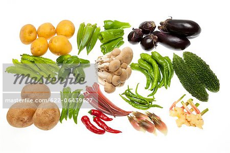 Various types of vegetables against white background Various types of vegetables against white background