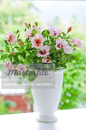 Roses d'Eridu Babylone dans un vase blanc